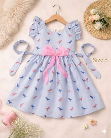 Pastel Blue Birdie Frock